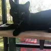 CDeats - @carldeaton - TikTok