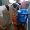 carlos - @carlos7delano - TikTok