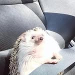 Carl dickson - @carl_dickson_123 - Instagram