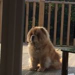 Carl Dickson - @carldicko1 - Instagram