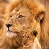 Carl Desing - @carl.desing - TikTok