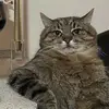 CarlaDirks - @carladirkz - TikTok