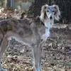 Carl Doby - @carl.doby - TikTok