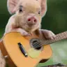 Carley Dock - @carleydock - TikTok