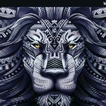Carl Doe - @carl_doe - Instagram