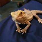 Carl Dolly - Facebook