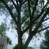 CarlDoravBK4_ - @carldoravbk4_ - TikTok