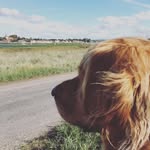 Carl Doran - @carldoran264 - Instagram