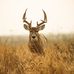 Carl Dowd - Facebook