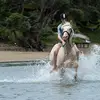 Carl Dowd - @carldowd - TikTok