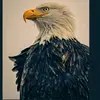 carl_dowell - @recklessd79 - TikTok