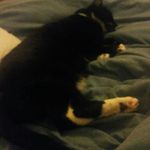 carl downer - @carl_jahbless - Instagram