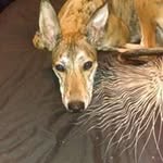Carl Doyle - @carl.doyle.7355 - Instagram