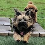Carl drummer - @carl.drummer - Instagram