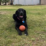 Carl Dubuc - @carldubuc - Instagram