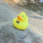 Carl Duck - @carl.theduck.307 - Instagram