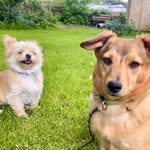 Carl Duck - @mrcarltourismtutor - Instagram