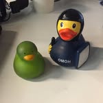 🔫🦆 - @carl_duck_official - Instagram