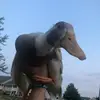 🫶Carl the duck🫶 - @carl..the.duck - TikTok