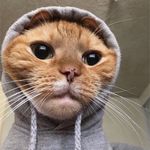carl duff - @carl.duff - Instagram