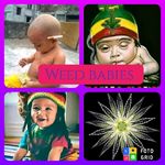 Carl Duffus - @carlduffus7 - Instagram