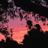 user3928217705392 - @carla.duff - TikTok