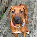 Carl Durham - @carlmdurham - Instagram