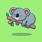 Carl Elder - @koolkoala_82 - Instagram