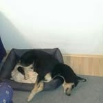 Karl Freund - @freundk63 - Instagram