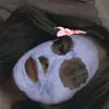 Random Facts - @carl.gallagher.ugh - TikTok