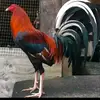 Carlos Galvan - @carlos.galvan773 - TikTok