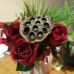 Carl Gentles - @carl.gentles.9 - Instagram