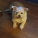 Carl Geyer - Facebook