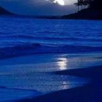 Carl Giannelli - Facebook