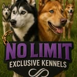 Carl Gladys II - @nolimitexclusivekennels - Instagram
