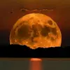 clara gladish💝 - @clara.gladish - TikTok