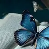 claragladish😻🎚️ - @claragladish - TikTok