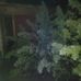 Carl Glitsch - Facebook