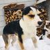 Charles Michael - Facebook