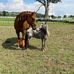 Carl, good to see you - Facebook