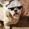 carlgotts199 - @carlgotts199 - TikTok