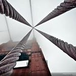 Carl Grady - @carl.grady.50 - Instagram