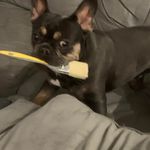 Carl Grady - @carlgrady1974 - Instagram