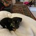Carl Grady Carl Grady - Facebook