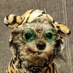 CarlGray - @carl_gray - Instagram