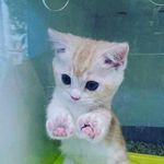 @carl.grimmers - Instagram