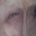 Carl Grubb - @grubbcarl630 - Instagram