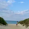 carlee - @carleehaas_ - TikTok