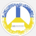 Carl-Hahn-Schule - @chs.wolfsburg - Instagram