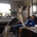 Carl Hall - Facebook